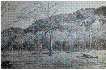 Scene of the fight at Laing's graveyard